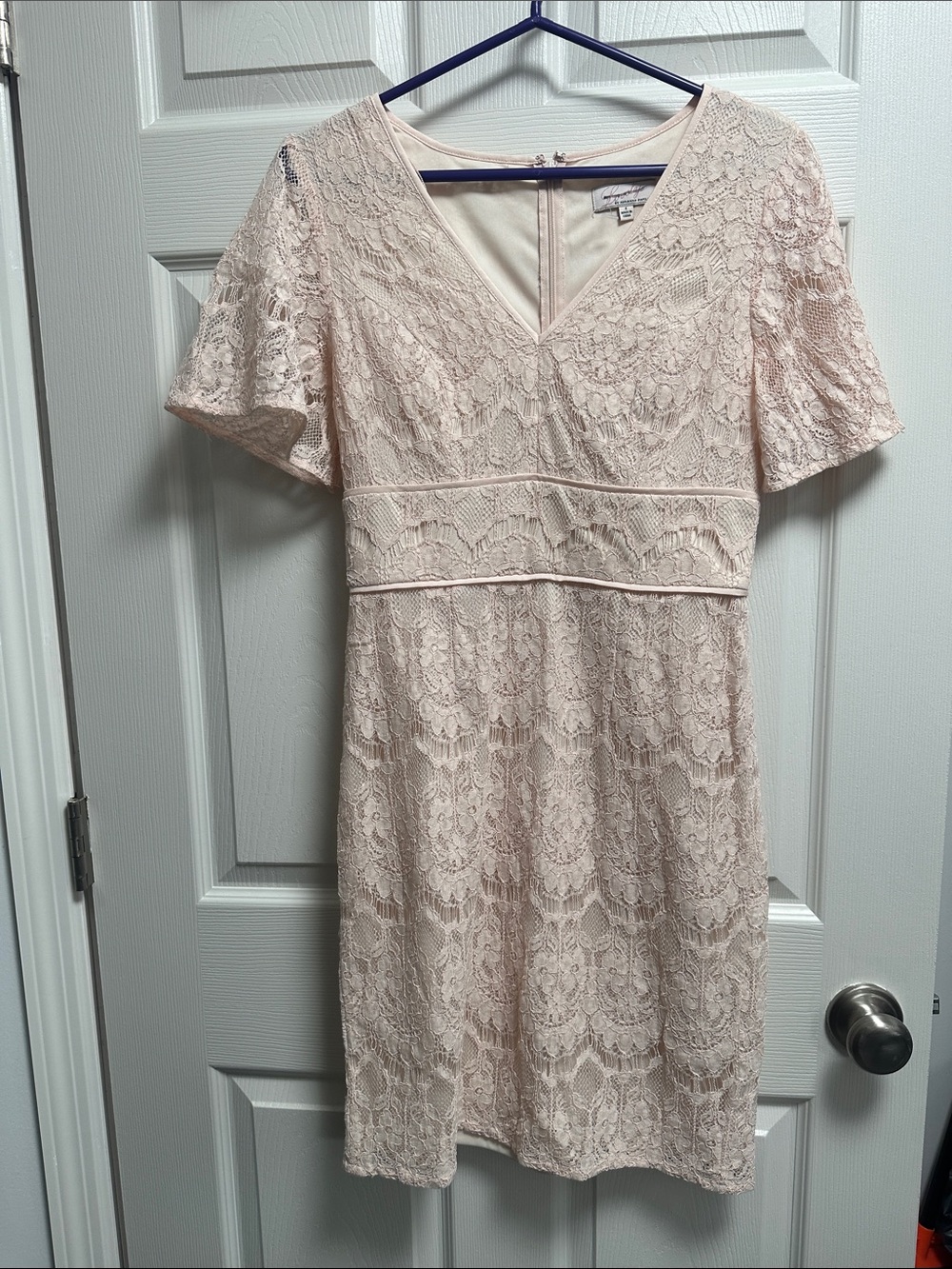 Adrianna Papell Blush Lace V-Neck Midi Dress